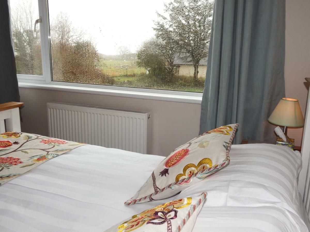 Bed and Breakfast Ty Helyg St Davids Exterior foto